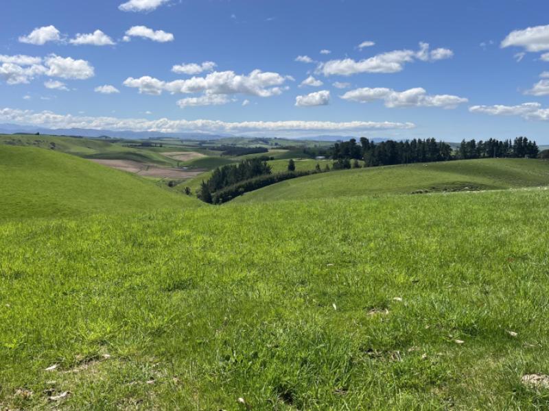 dunrobin-road-five-forks