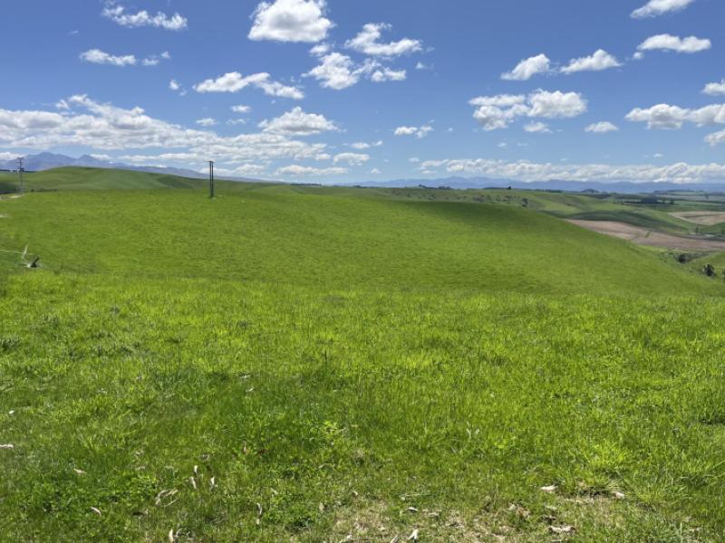 dunrobin-road-five-forks