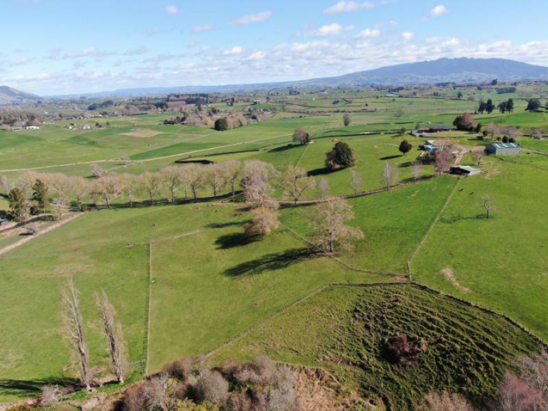2/4798-ohaupo-road-te-awamutu