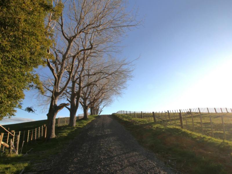 163-hupara-road-pakaraka