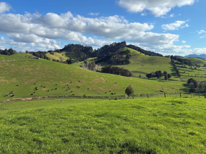 643-whareora-road-whareora