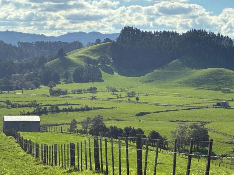 643-whareora-road-whareora