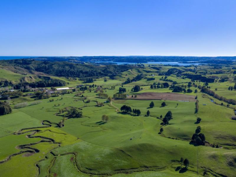 141-te-mata-road-raglan
