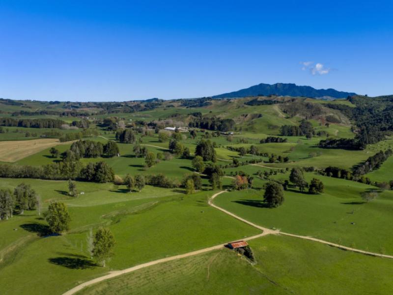 141-te-mata-road-raglan