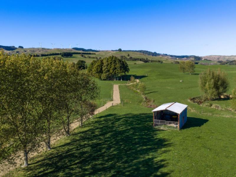 141-te-mata-road-raglan