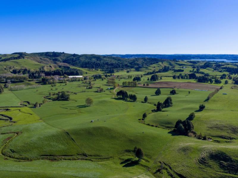 141-te-mata-road-raglan