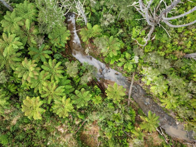 225-rocky-cutting-road-papamoa