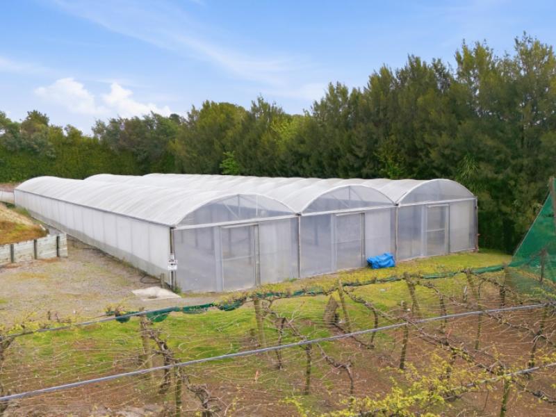 364-te-matai-road-te-puke