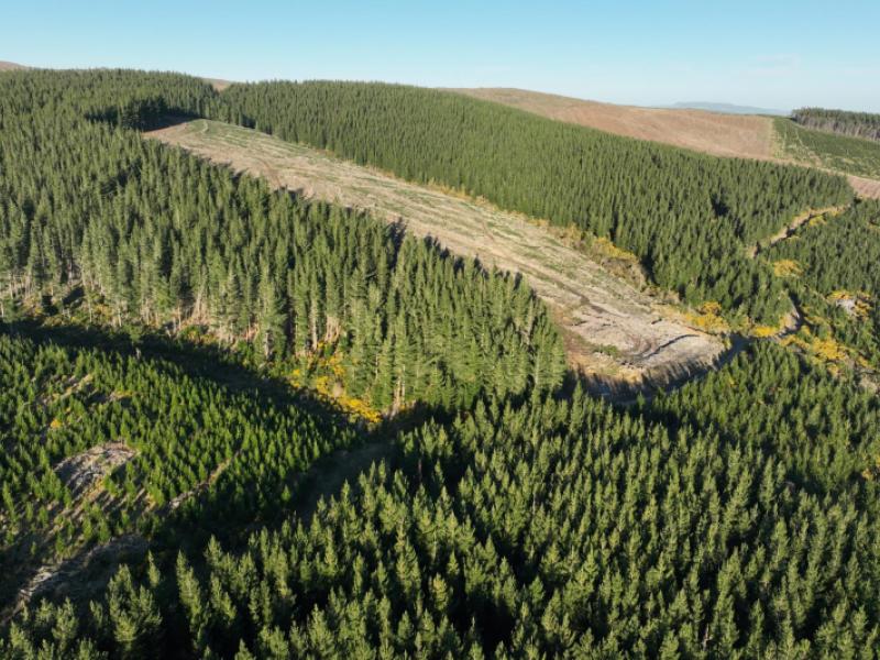 920-dipton-mossburn-road-castle-downs