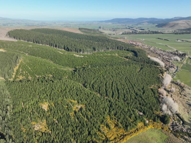 920-dipton-mossburn-road-castle-downs