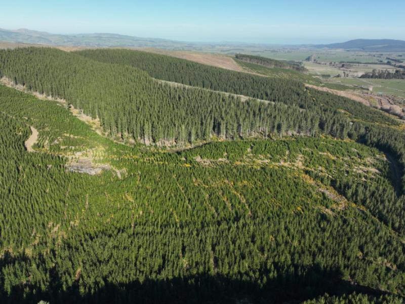 920-dipton-mossburn-road-castle-downs