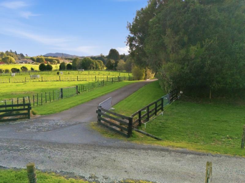 950b-no-2-road-te-puke