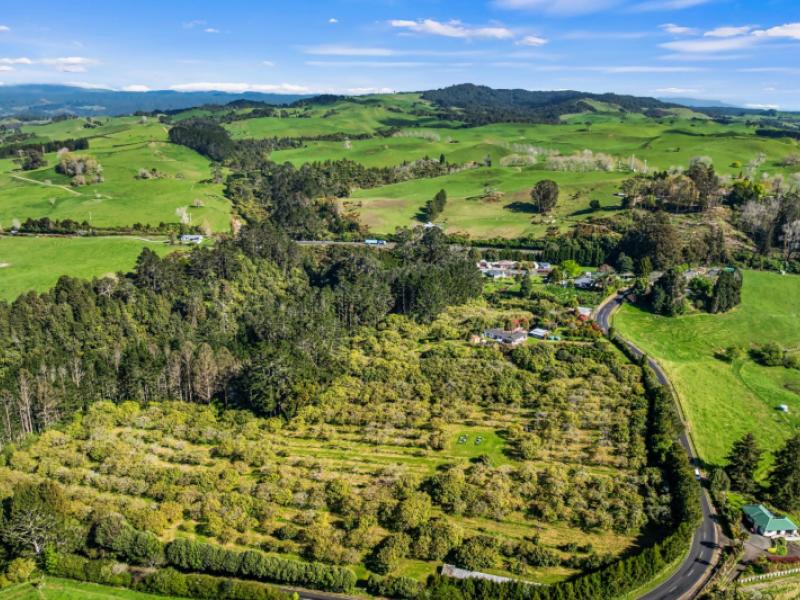 20-mclaren-falls-road-lower-kaimai