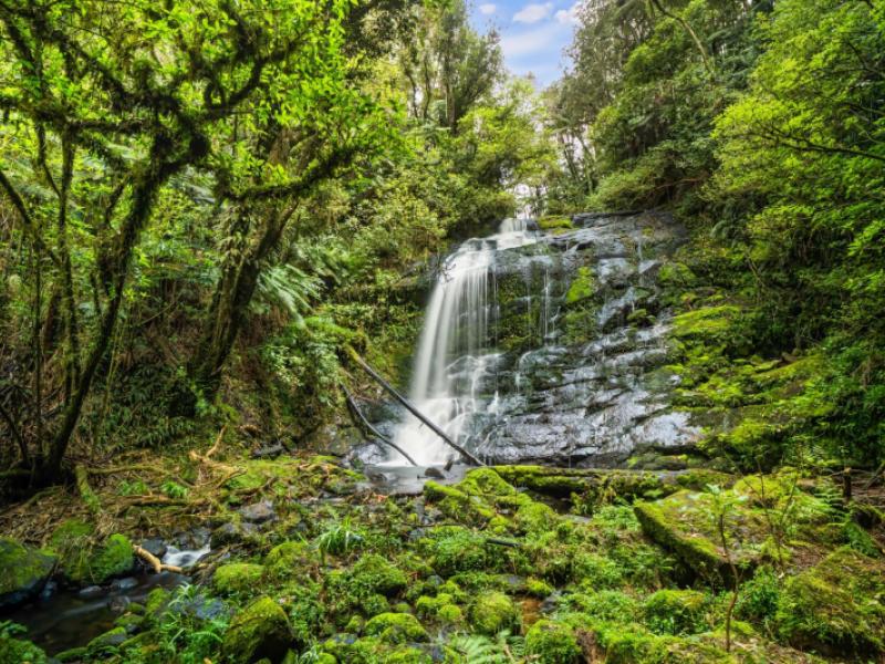 20-mclaren-falls-road-lower-kaimai