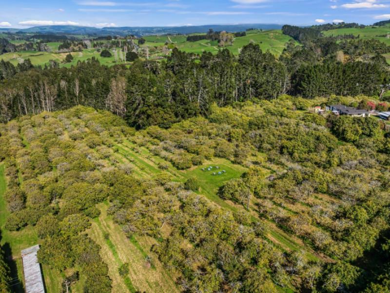 20-mclaren-falls-road-lower-kaimai
