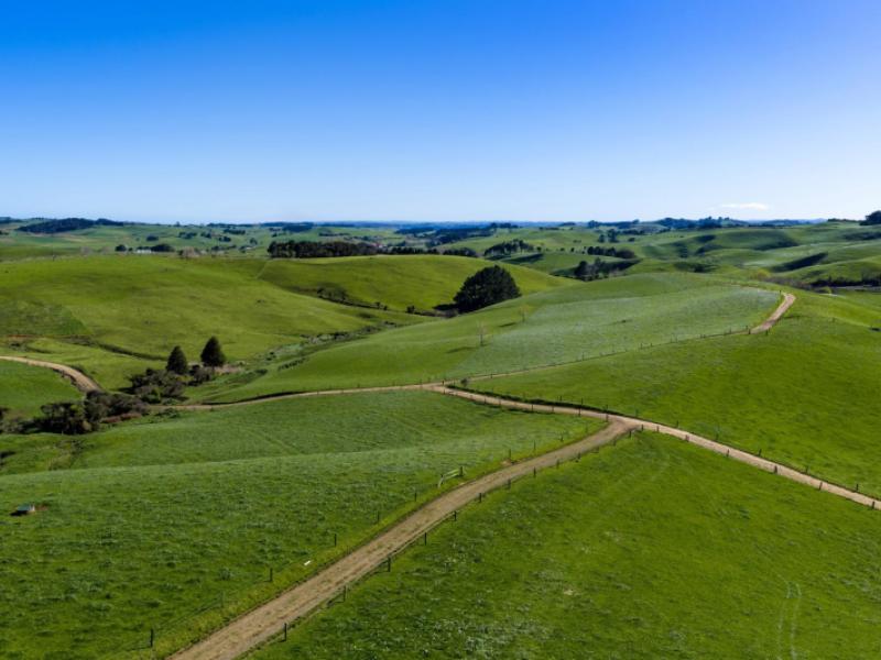 44-te-papatapu-road-raglan