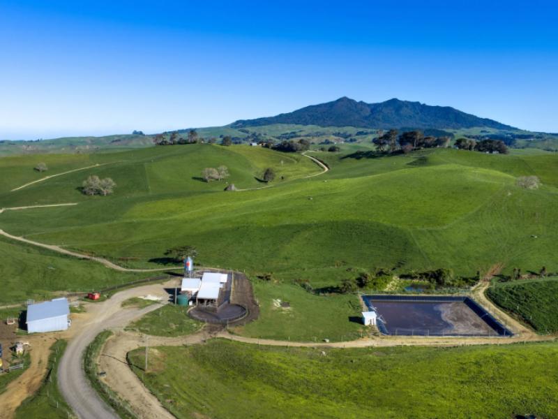 44-te-papatapu-road-raglan