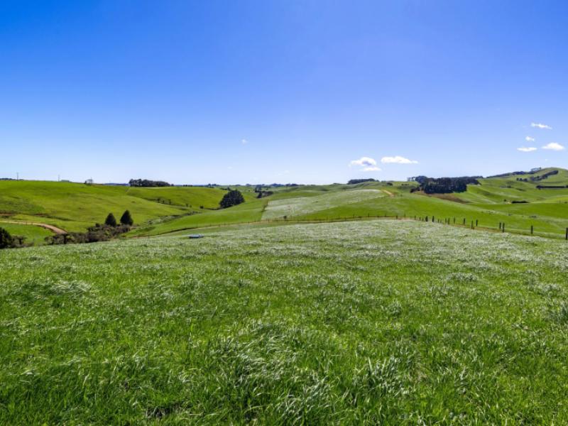 44-te-papatapu-road-raglan