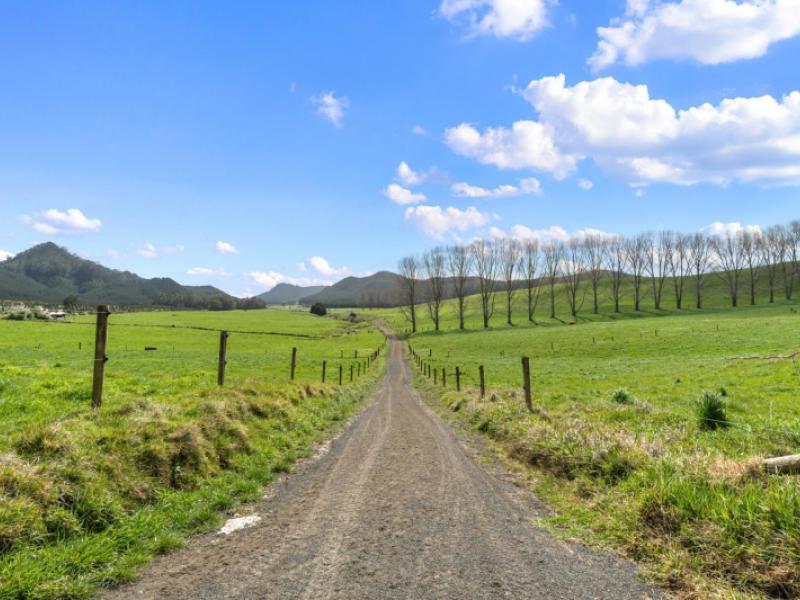 735-tairua-sh25-road-onemana