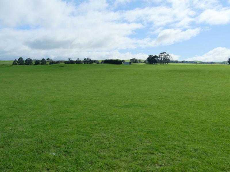 63-hamilton-road-dannevirke