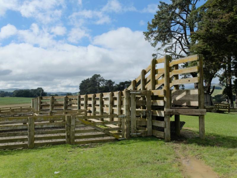 63-hamilton-road-dannevirke