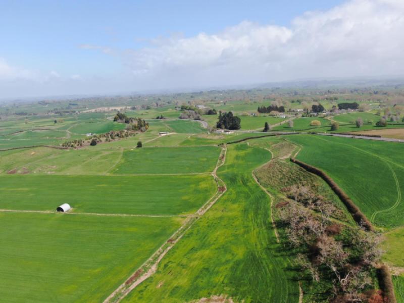 1375-state-highway-3-otorohanga
