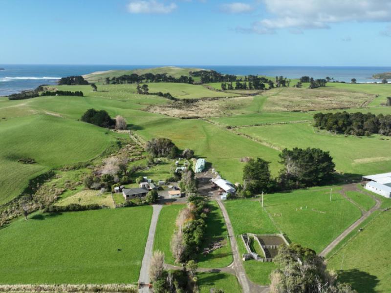 620-hinahina-road-catlins-surrounds