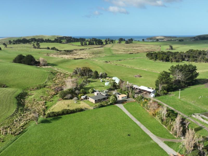 620-hinahina-road-catlins-surrounds