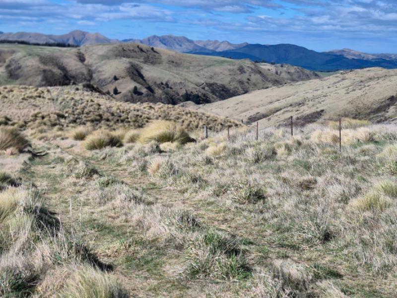 golden-bar-road-dunback