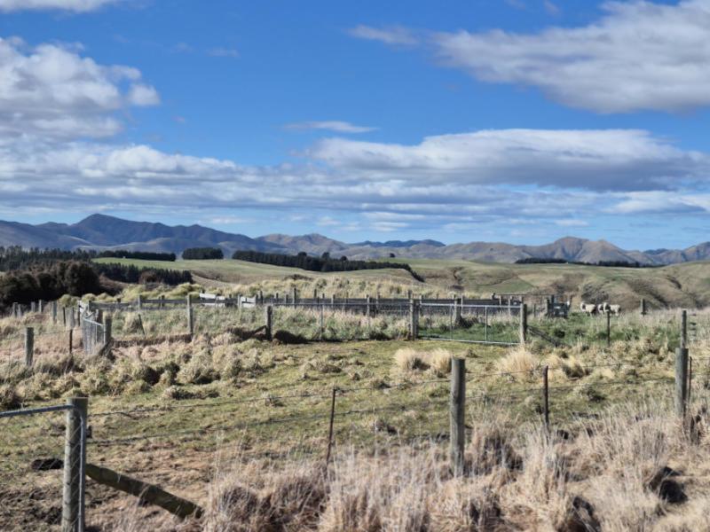golden-bar-road-dunback