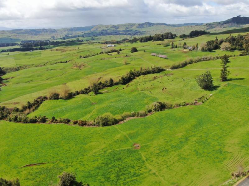 694-troopers-road-te-kuiti