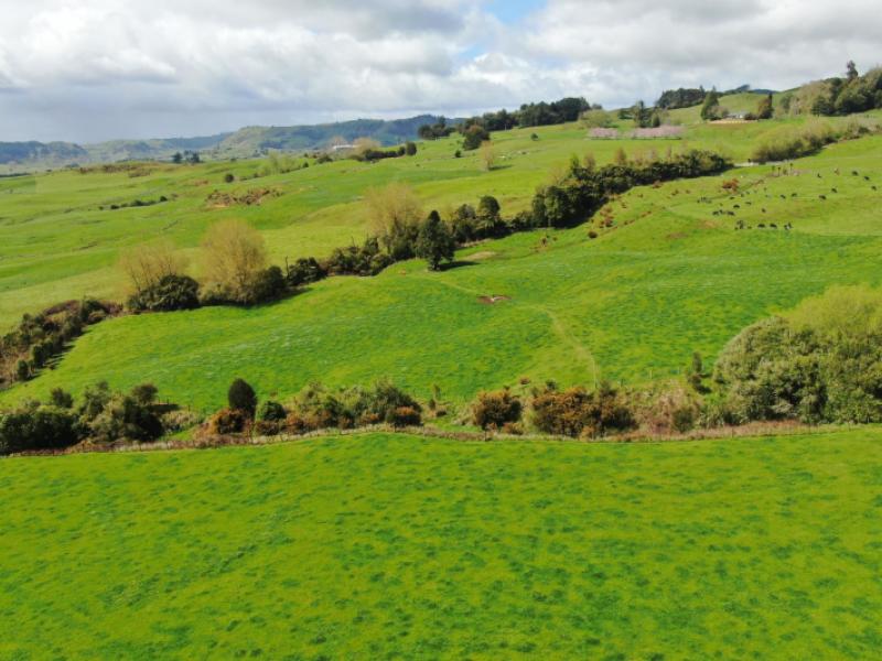 694-troopers-road-te-kuiti