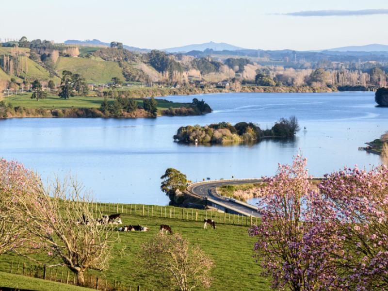 2400-maungatautari-road-cambridge