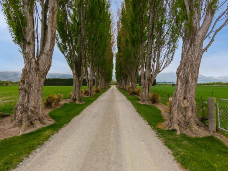 4744-kurow-duntroon-road-kurow