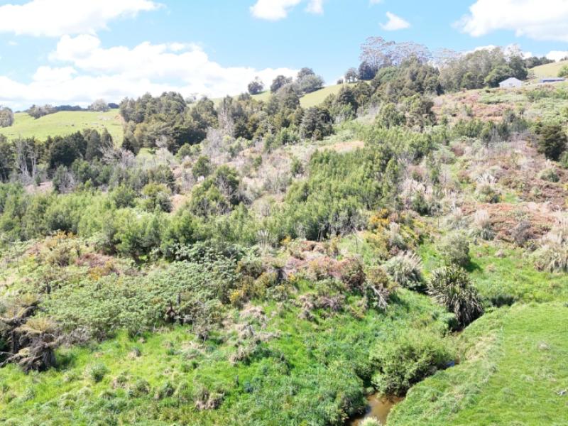 272-waikuku-road-waimate-north