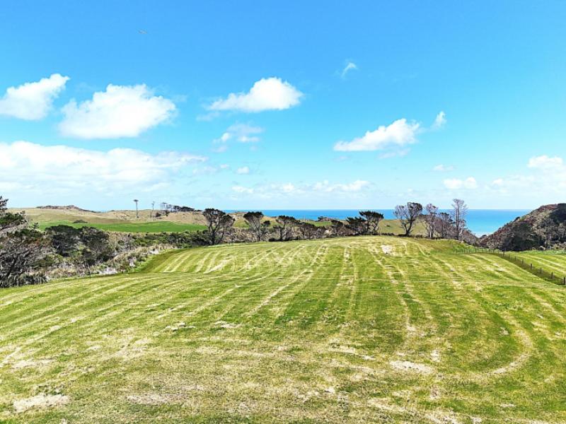 lot-1-redhill-road-te-kopuru