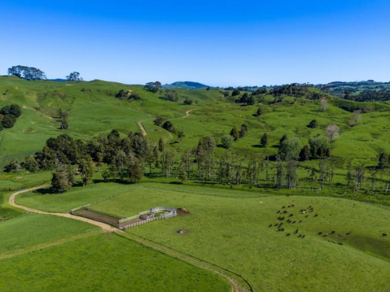 246-allen-and-eyre-road-onewhero