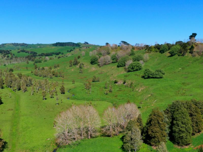 246-allen-and-eyre-road-onewhero