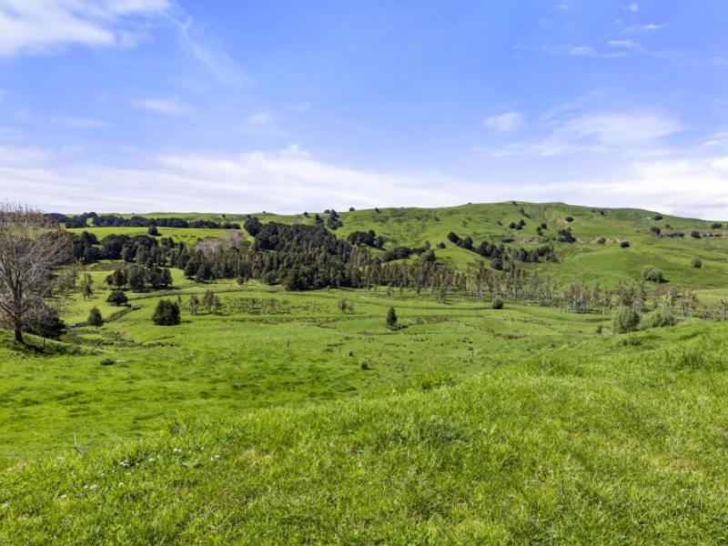 246-allen-and-eyre-road-onewhero