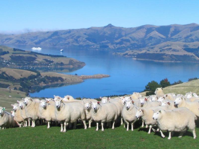 194-okains-bay-road-akaroa