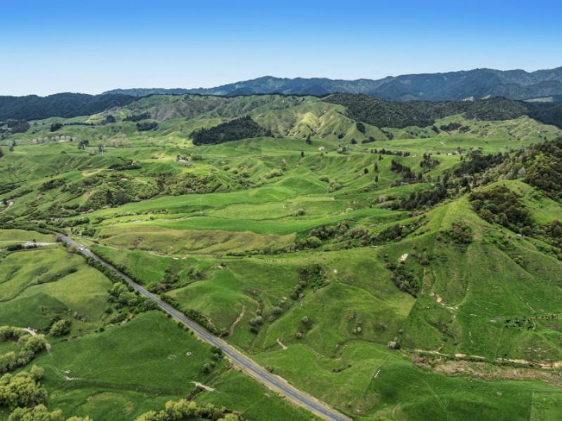 1794-state-highway-2-east-nukuhou