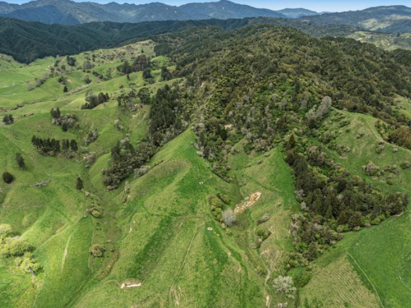 1794-state-highway-2-east-nukuhou