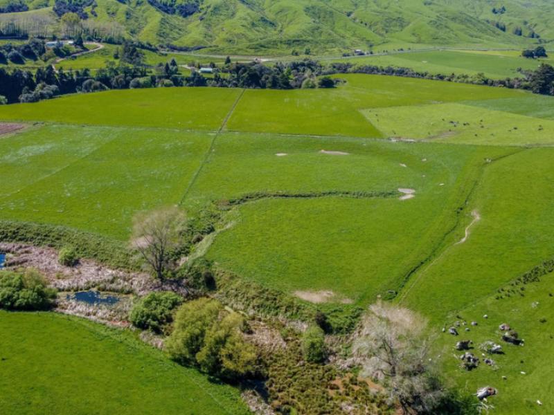 918-pahiatua-pongaroa-road-pahiatua