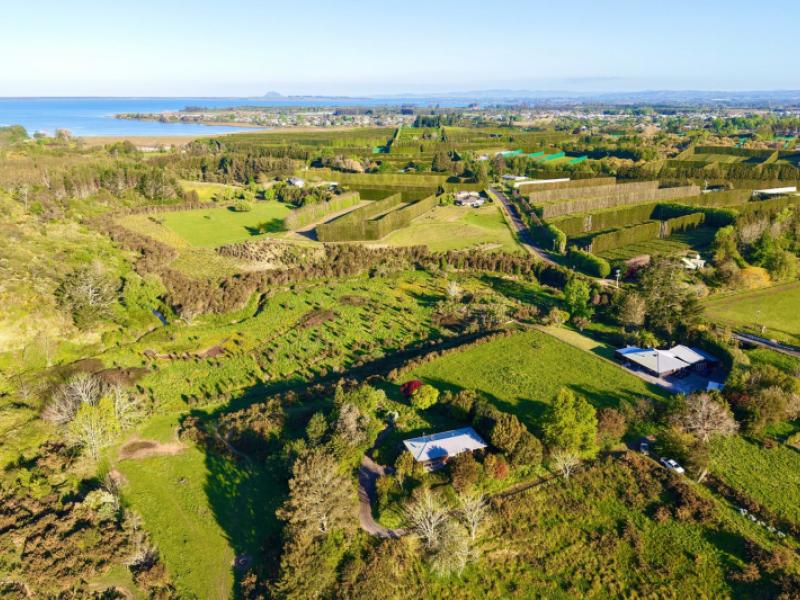 74b-willoughby-road-katikati