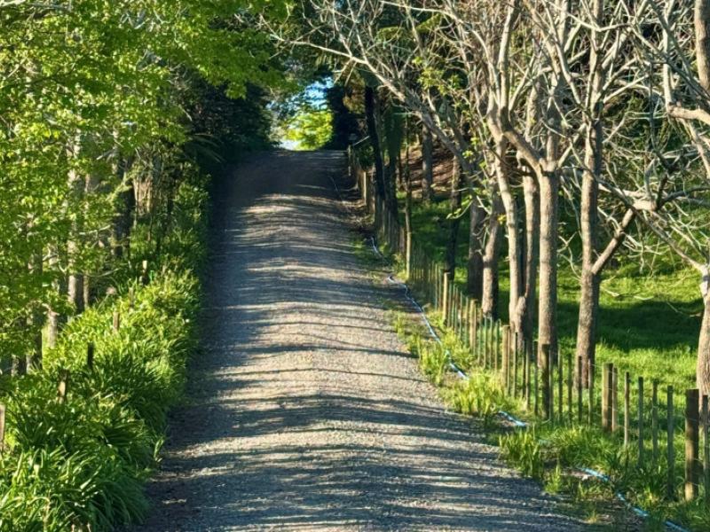 74b-willoughby-road-katikati