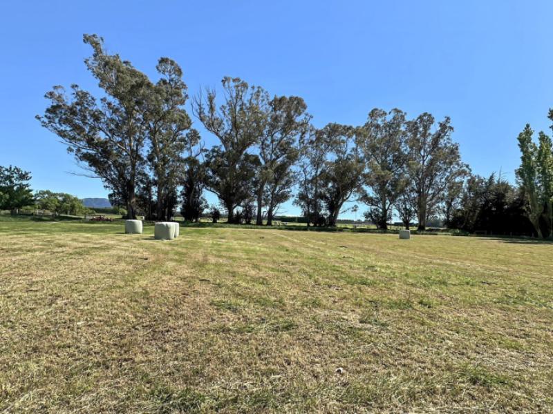 732-rangiora-leithfield-road-leithfield