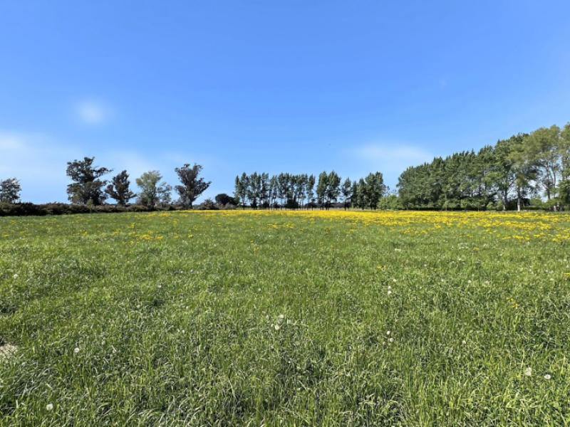 732-rangiora-leithfield-road-leithfield