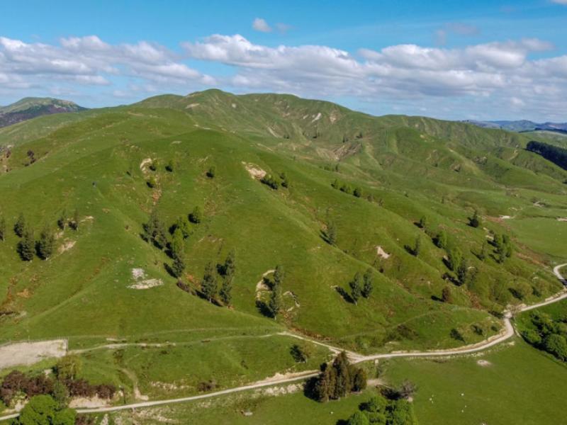1614-hinemoa-valley-road-pahiatua