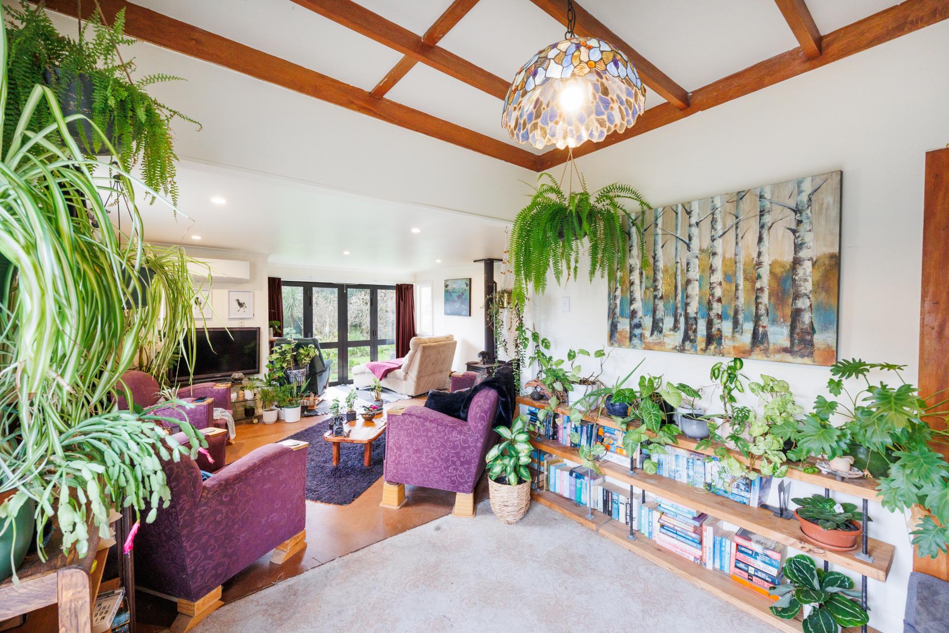 85 Shamrock Street, Takaro