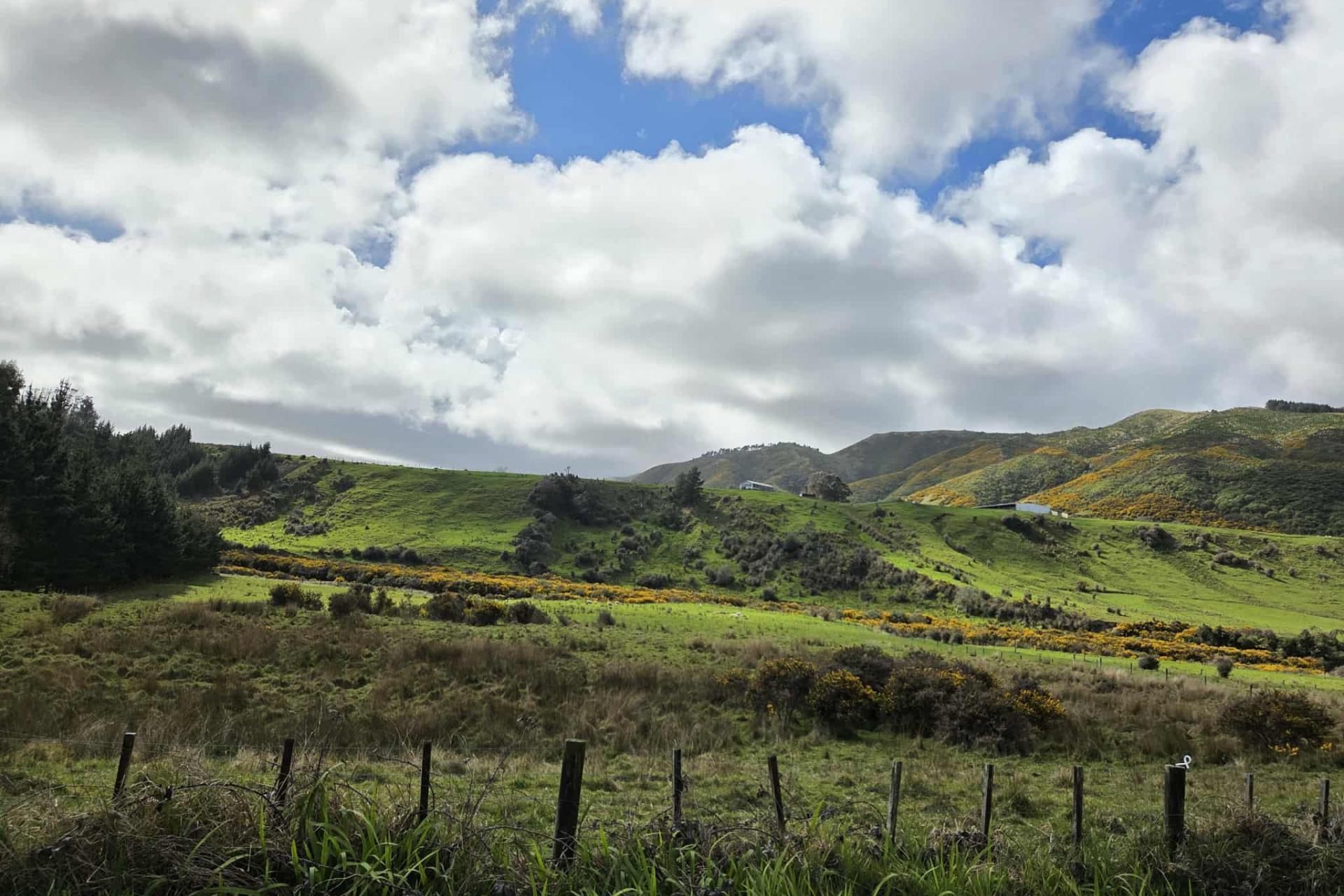 243 Mangahao Road, Shannon